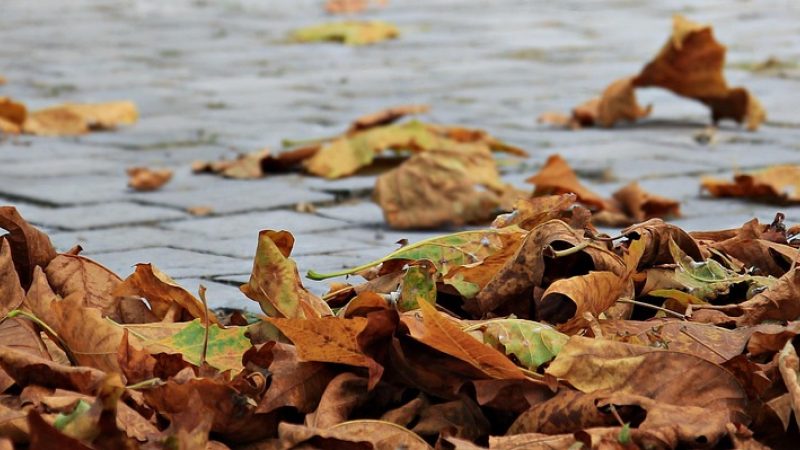 秋招网 秋招时间线：从提前批到补录的关键节点