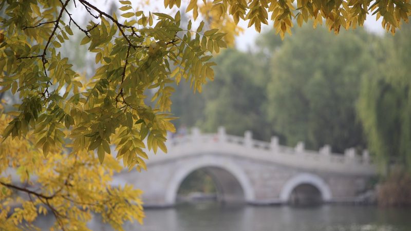 秋招网 秋招时间线:从提前批到补录的关键节点
